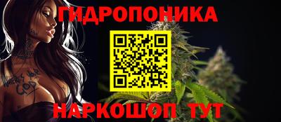 хмурый Пенза