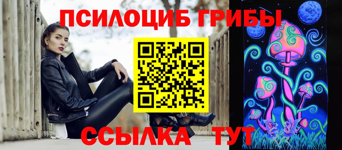 Псилоцибиновые грибы Psilocybine cubensis  Вход с VPN  Славгород  Псилоцибиновые грибы прущие грибы 
