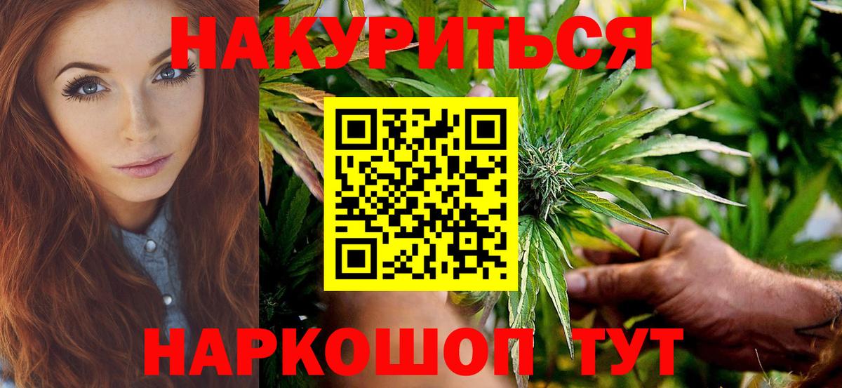 Славгород  Бошки Шишки сатива  Канабис Bruce Banner  Марихуана планчик  Вход с VPN 